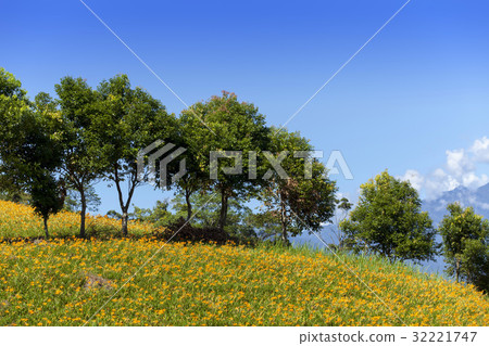 East of Taiwan East of Taiwan 32221747