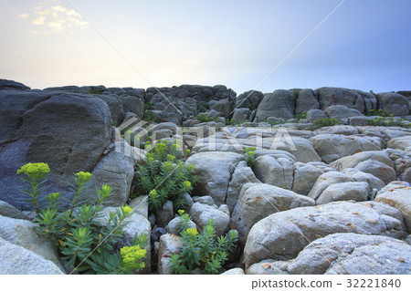 Beautiful Scenery 32221840