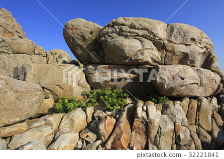 Beautiful Scenery Beautiful Scenery 32221841
