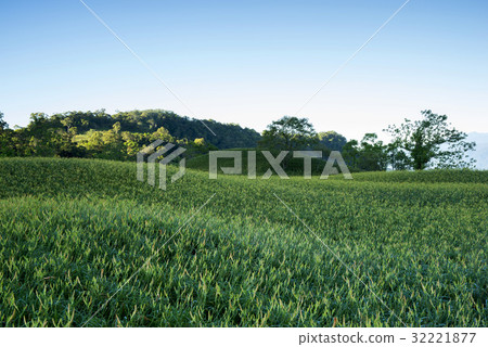 Beautiful Scenery 32221877