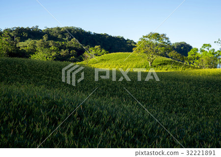Beautiful Scenery 32221891
