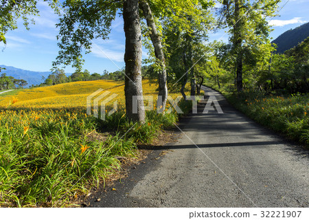 Beautiful Scenery Beautiful Scenery 32221907