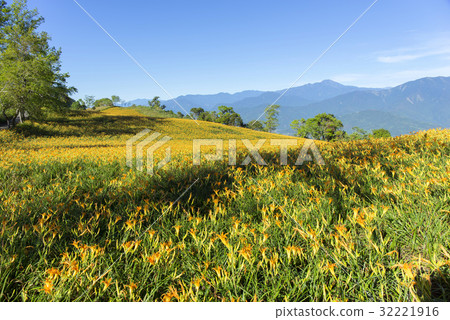 Beautiful Scenery 32221916