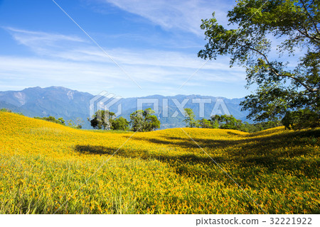 Beautiful Scenery 32221922