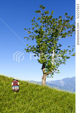 Beautiful Scenery 32221923