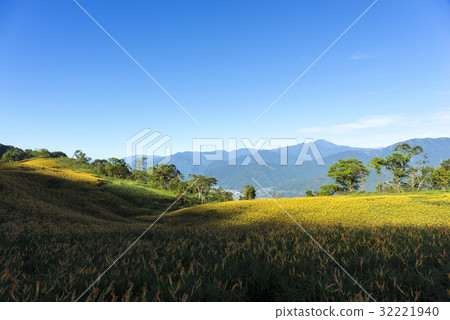 Beautiful Scenery 32221940