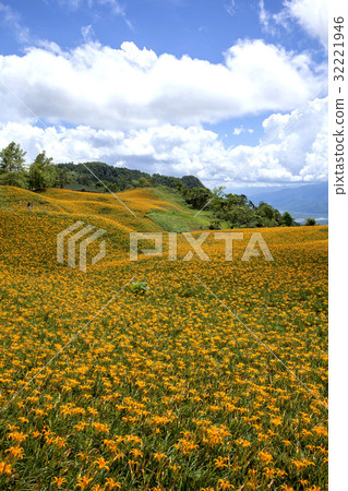 Beautiful Scenery 32221946