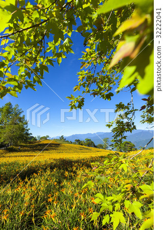 Beautiful Scenery 32222041