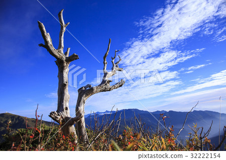 Mountain Peak 32222154