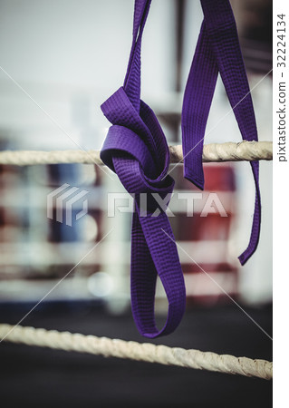 Karate purple belt hang off the rope 32224134