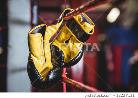 Yellow boxing gloves hanging off the boxing ring 32227131