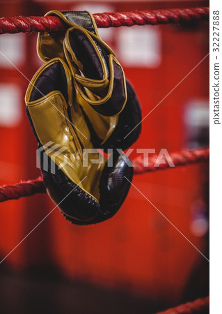 Yellow boxing gloves hanging off the boxing ring 32227888
