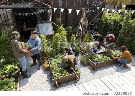 Group of people gardening backyard together Group of people gardening backyard together 32229087