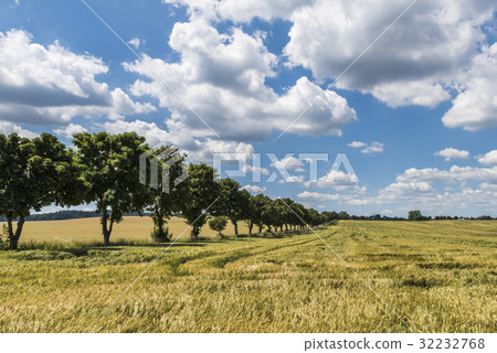 Grainfield Burgk-Bleiberg Kobersfelsen Grainfield Burgk-Bleiberg Kobersfelsen 32232768