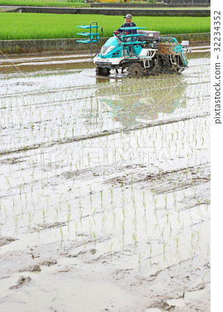 水稻插秧機長度 水稻插秧機長度 32234352