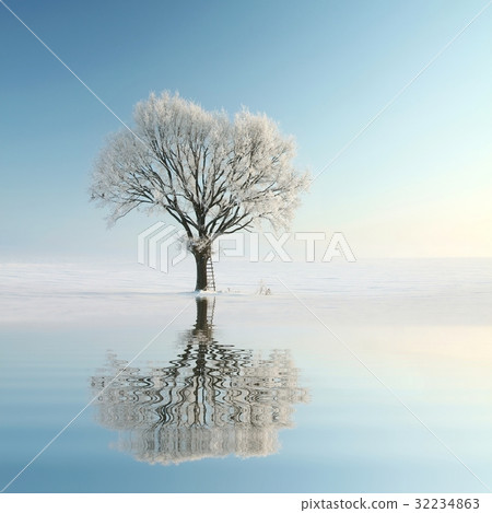 Winter tree covered with frost on a sunny morning Winter tree covered with frost on a sunny morning 32234863