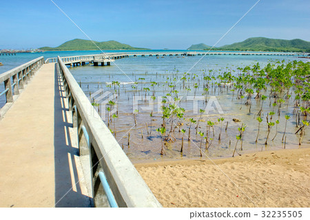 Bridge view. 32235505