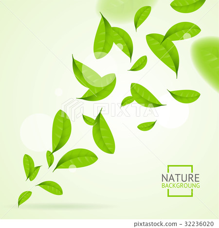 Realistic Fly Green Leaves Pattern Background Realistic Fly Green Leaves Pattern Background 32236020