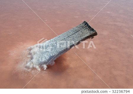 salt wonder 32236794