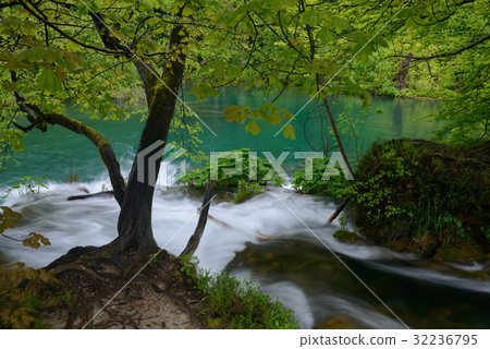 Stream falling to azure lake - Plitvice Lakes Park Stream falling to azure lake - Plitvice Lakes Park 32236795