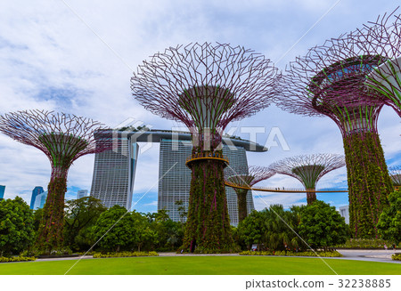 Park Gardens by the Bay - Singapore 32238885