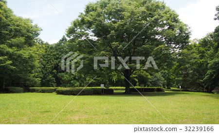 Masateru Haniwa生產基地 Masateru Haniwa生產基地 32239166
