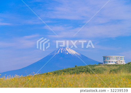 從初夏的箱根Tokudo山口，富士山 32239539