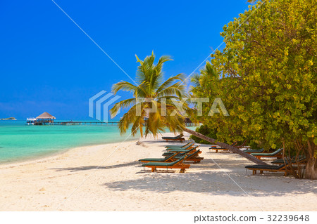 Loungers on Maldives beach 32239648
