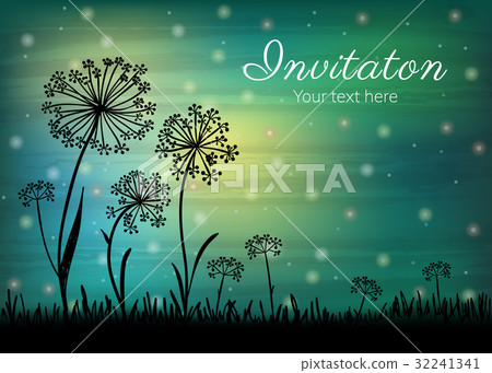 Dandelion in the sunset on the meadow Dandelion in the sunset on the meadow 32241341