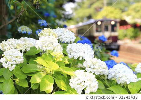 Watase ravine early summer railway 32243438