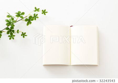 paperback 32243543