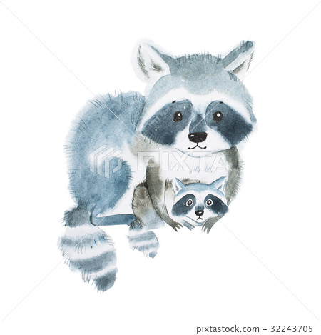 Cute fuzzy raccoon family, mother warming her 32243705
