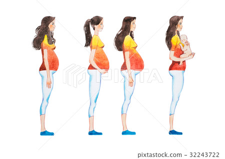 Cartoon illustration of pregnancy stages. Side 32243722