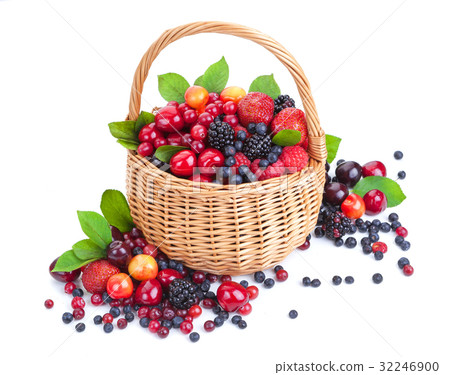 Various forest berries in basket isolated on white Various forest berries in basket isolated on white 32246900