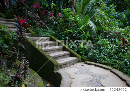 Old stone stairs in the jungle rainforest 32248032