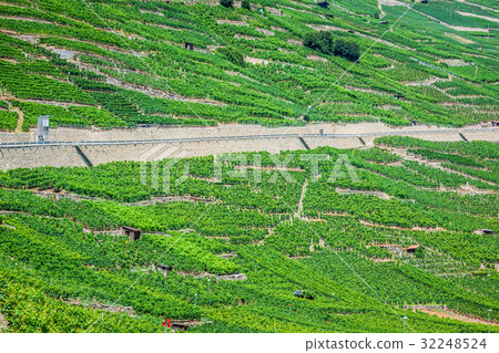 the swiss alpine town of martigny surrounded  32248524
