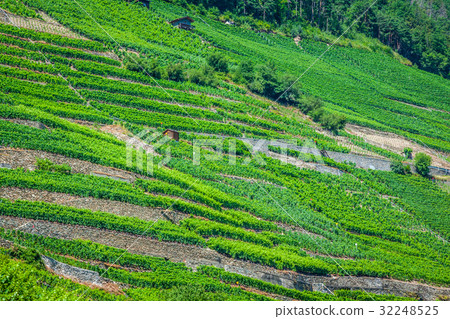 the swiss alpine town of martigny surrounded  32248525
