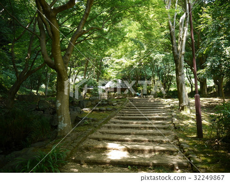 Nanasawa Forest Park Nanasawa Forest Park 32249867