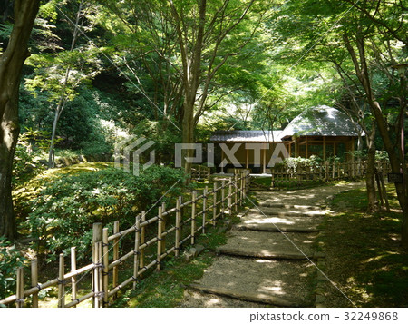 Nanasawa Forest Park (Seishinpo) 32249868