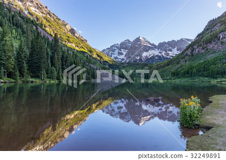 Maroon Bells Summer Reflection 32249891