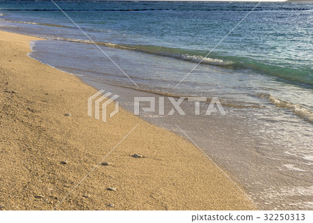 Sensei海灘的海灘 32250313