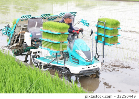 水稻插秧機面朝上 水稻插秧機面朝上 32250449