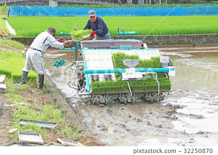 Rice planting machine handed over will be received Rice planting machine handed over will be received 32250870