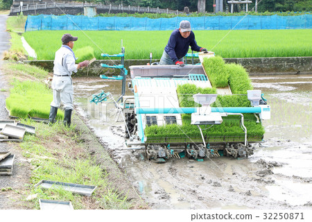 種植等待隊列 32250871