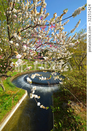 Round dividing water in Yamato-cho 32251424
