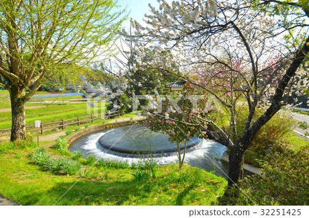 Round dividing water in Yamato-cho 32251425