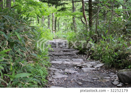 Trekking route of Kamikochi 32252179