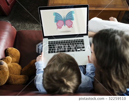 Nature Biology Insects Butterfly Illustration Concept 32259510