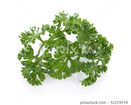 parsley isolated on a white background 32259554