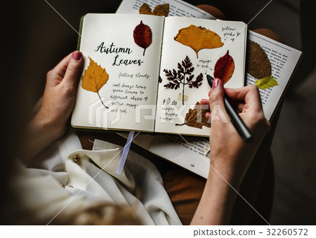 Hands Writing Detail of Dried Flowers Collection in Notebook Handmade Work Hobby Hands Writing Detail of Dried Flowers Collection in Notebook Handmade Work Hobby 32260572
